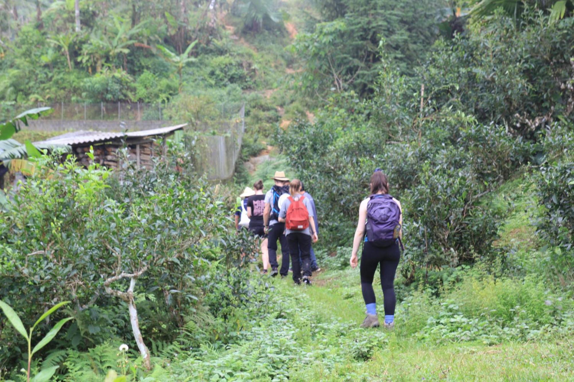 Thavill Retreat Hagiang Daire Ha Giang Dış mekan fotoğraf