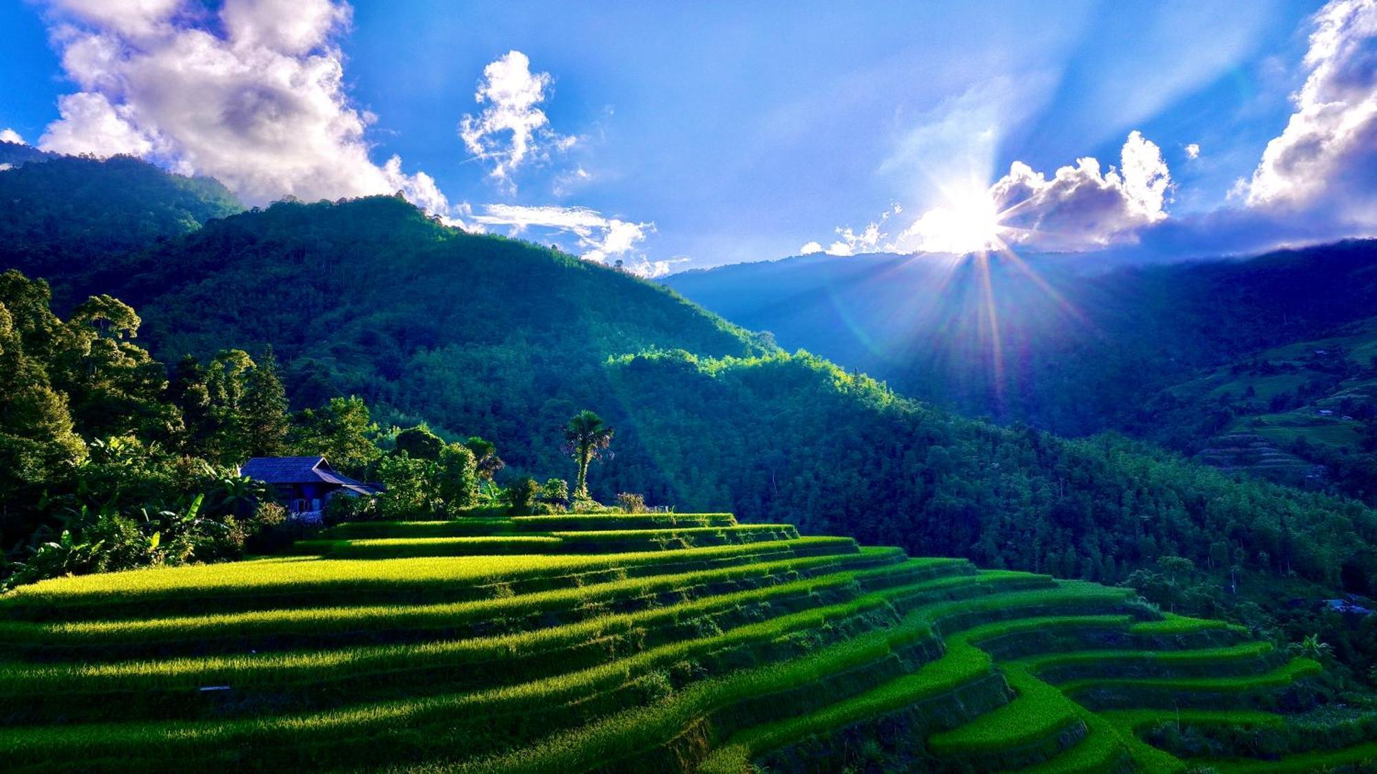 Thavill Retreat Hagiang Daire Ha Giang Dış mekan fotoğraf