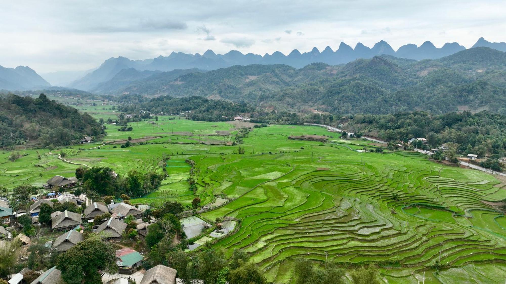 Thavill Retreat Hagiang Daire Ha Giang Dış mekan fotoğraf