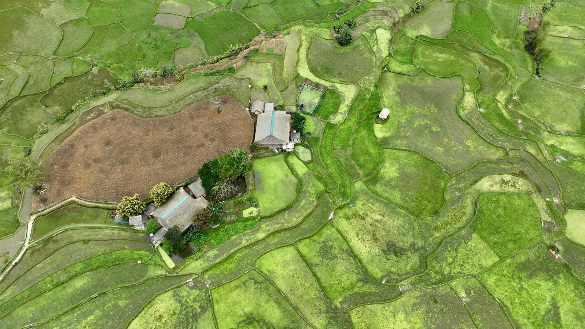 Thavill Retreat Hagiang Daire Ha Giang Dış mekan fotoğraf