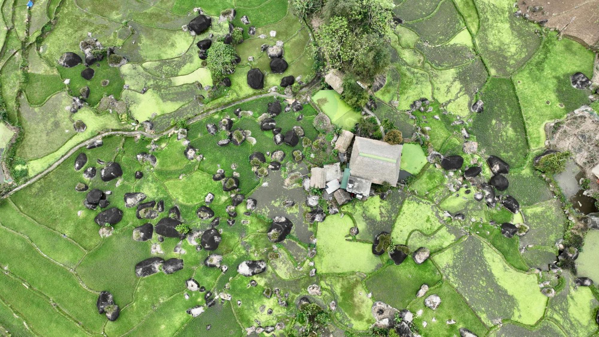 Thavill Retreat Hagiang Daire Ha Giang Dış mekan fotoğraf