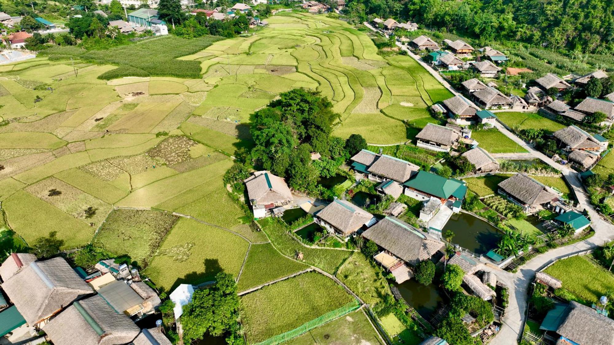 Thavill Retreat Hagiang Daire Ha Giang Dış mekan fotoğraf