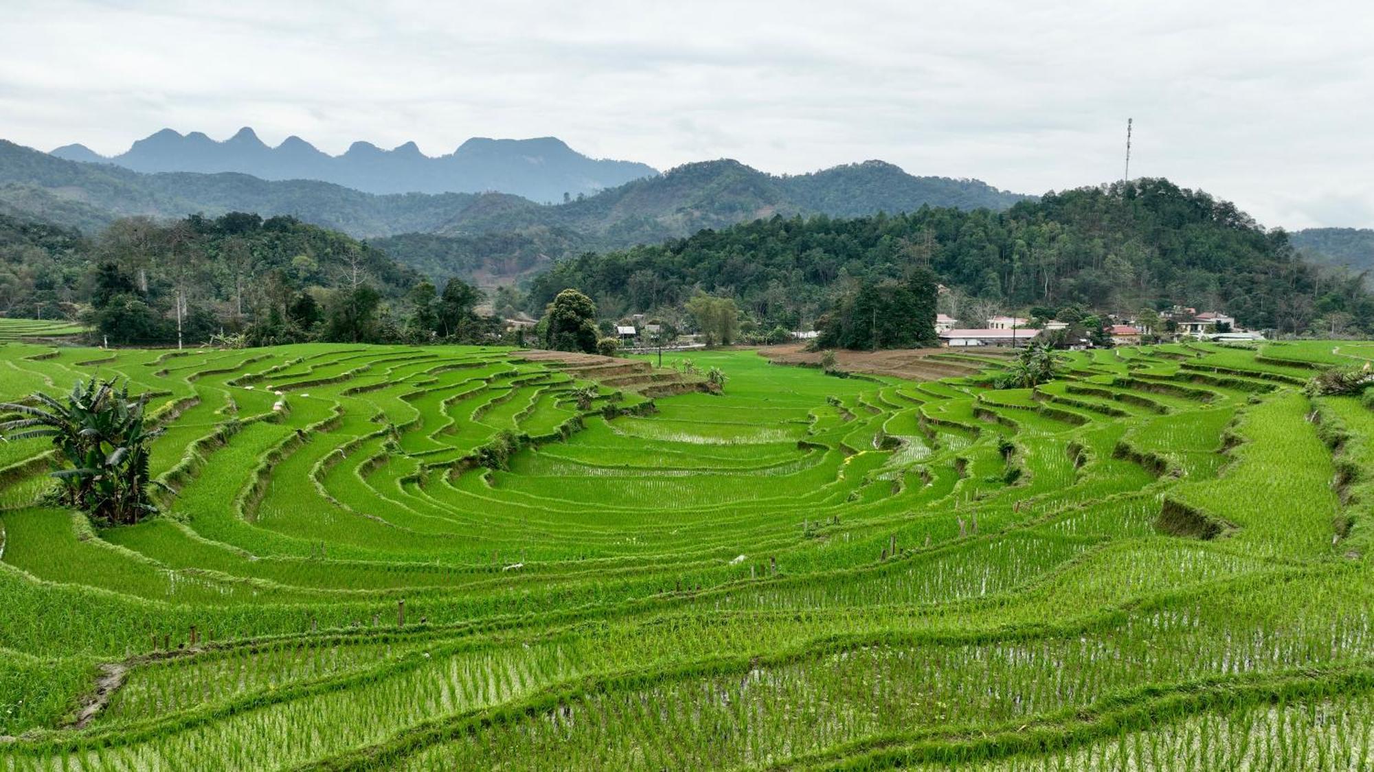 Thavill Retreat Hagiang Daire Ha Giang Dış mekan fotoğraf