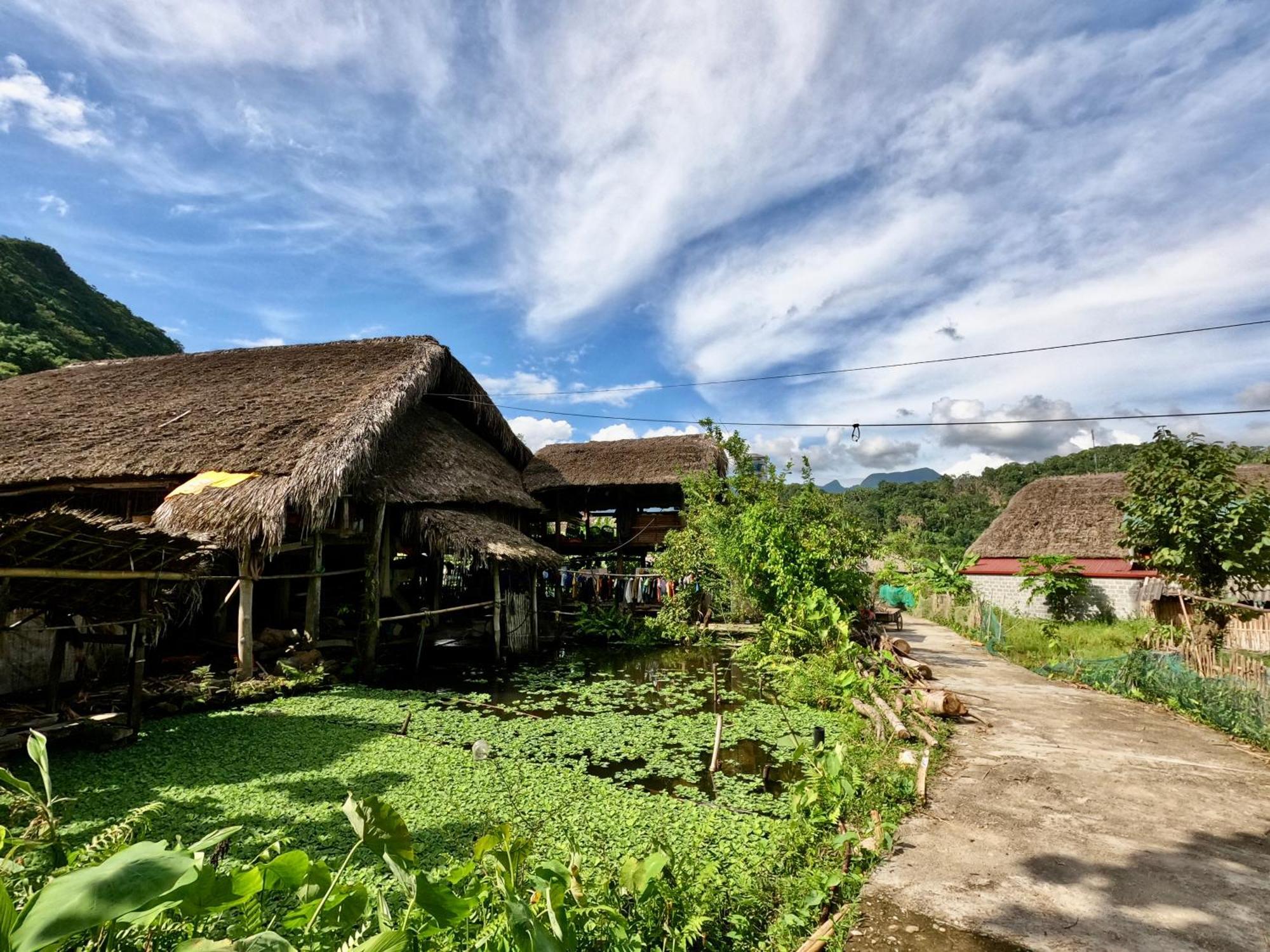 Thavill Retreat Hagiang Daire Ha Giang Dış mekan fotoğraf