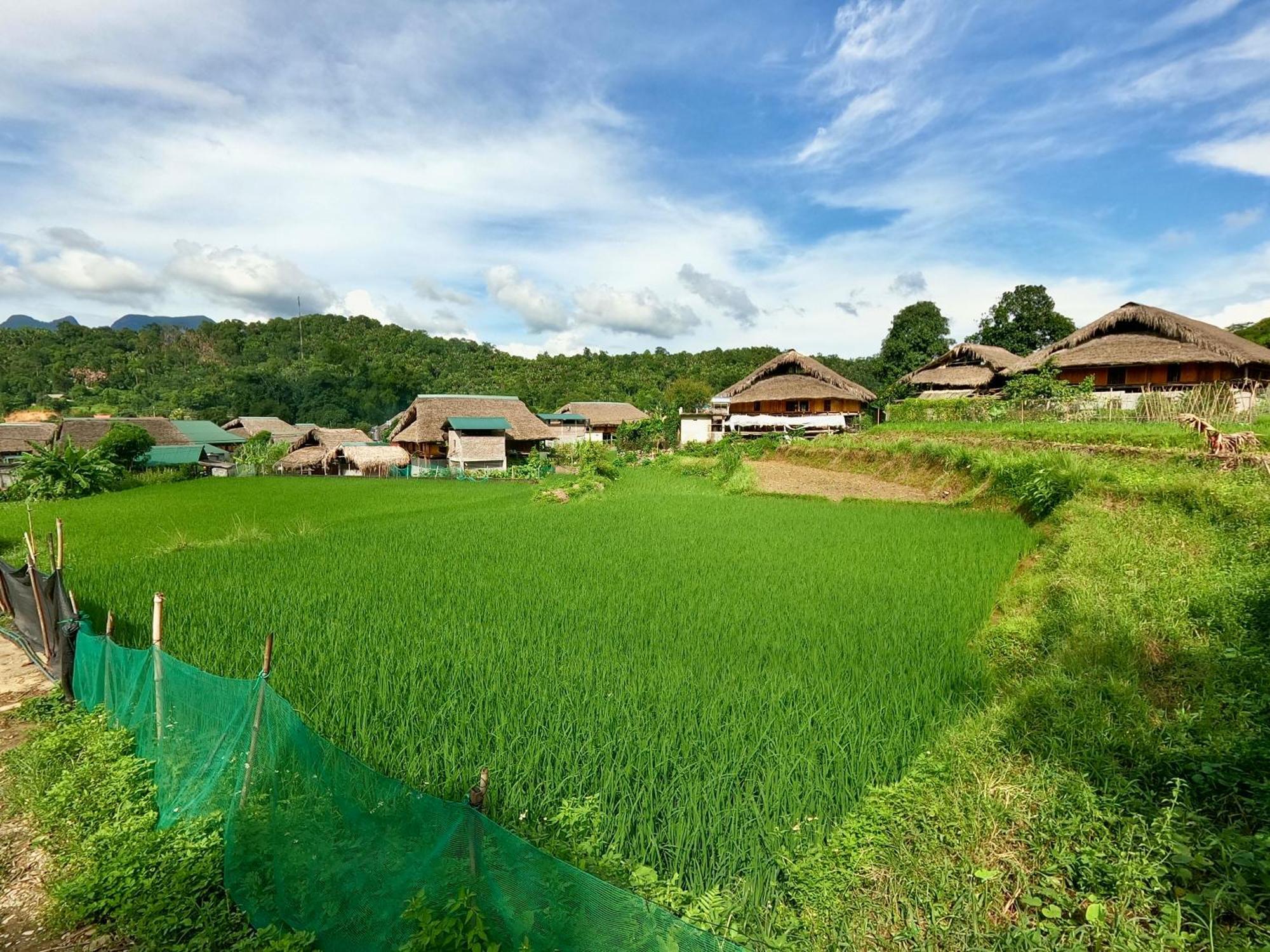 Thavill Retreat Hagiang Daire Ha Giang Dış mekan fotoğraf