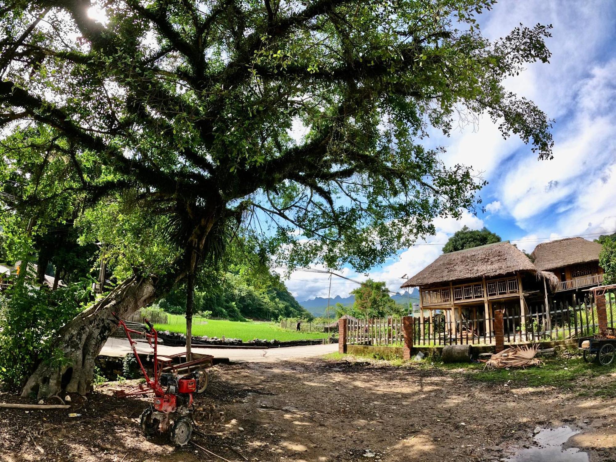Thavill Retreat Hagiang Daire Ha Giang Dış mekan fotoğraf