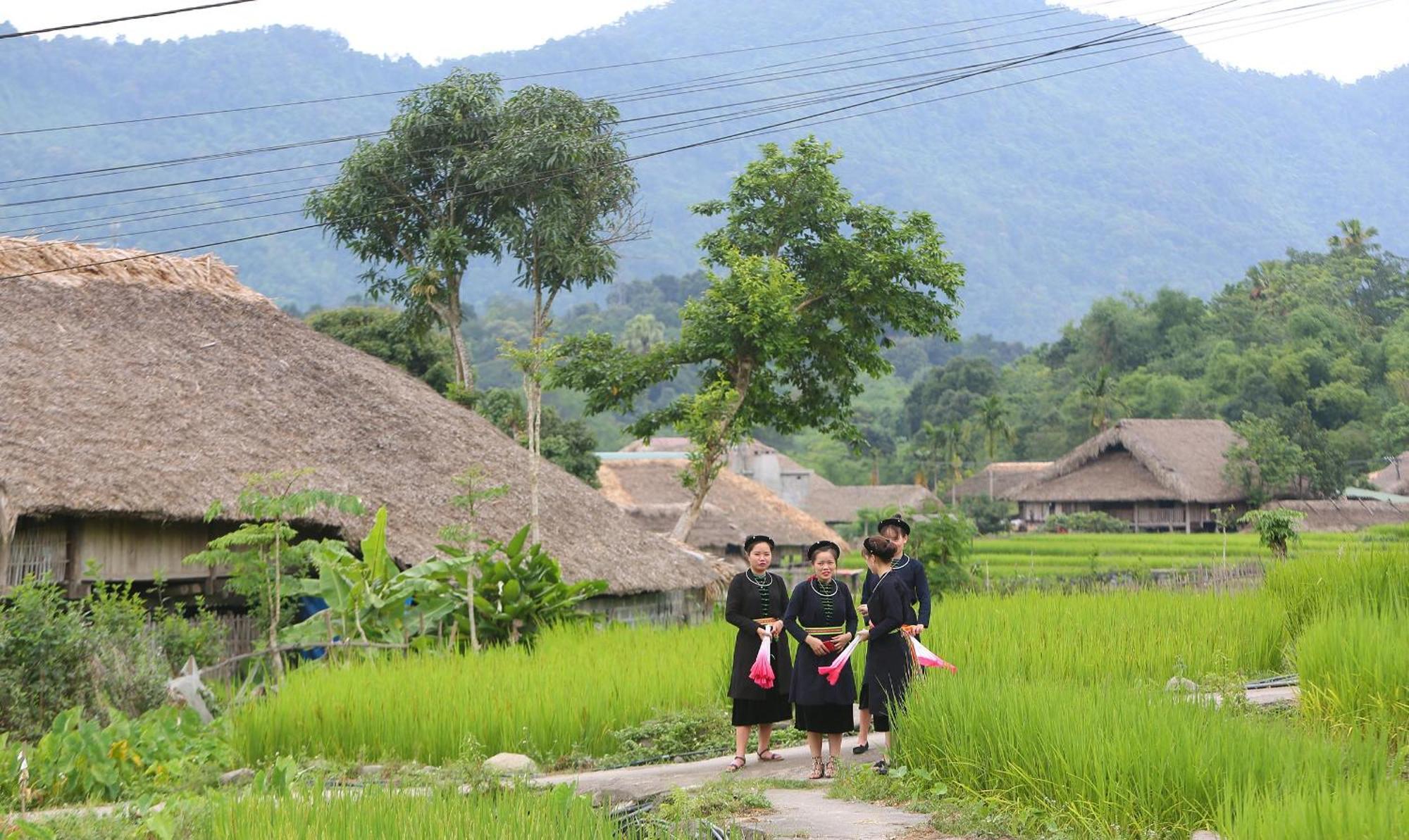 Thavill Retreat Hagiang Daire Ha Giang Dış mekan fotoğraf